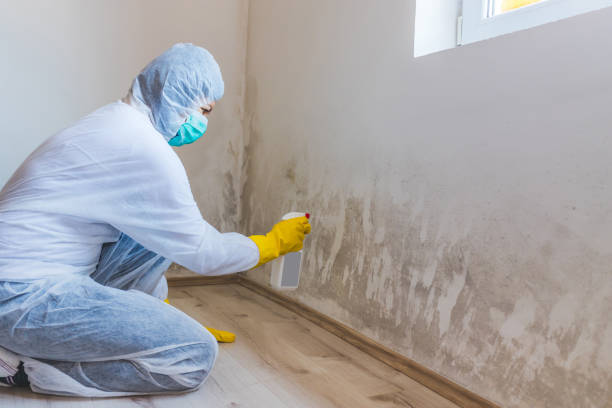 Crawl Space Mold Remediation treatment of floor joists in Cameron